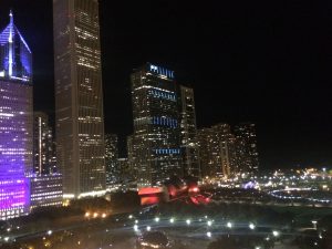 chicago skyline nightview